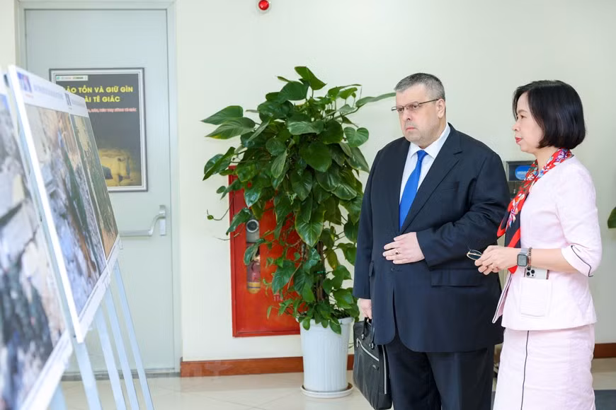Nhà báo Nga Yury Denisovich: Hạnh phúc vì được công tác tại Việt Nam ảnh 2