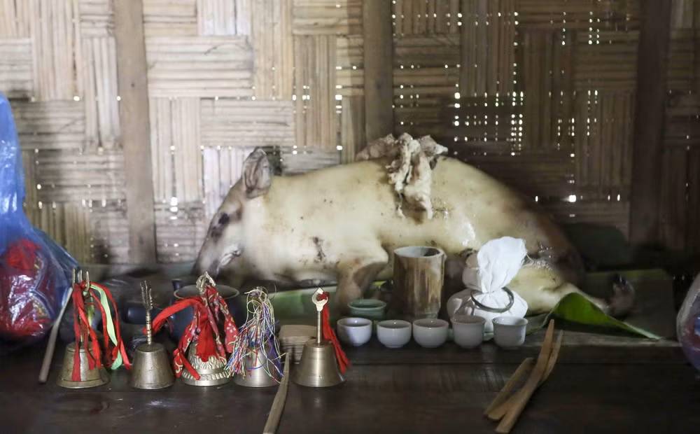 ttxvn-le-cung-ban-vuong-2718.jpg