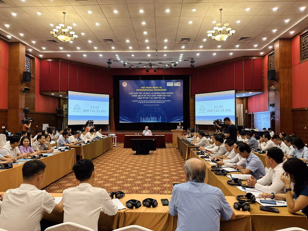 Tạo hành lang pháp lý phát triển kinh tế tập thể trong tình hình mới ảnh 2