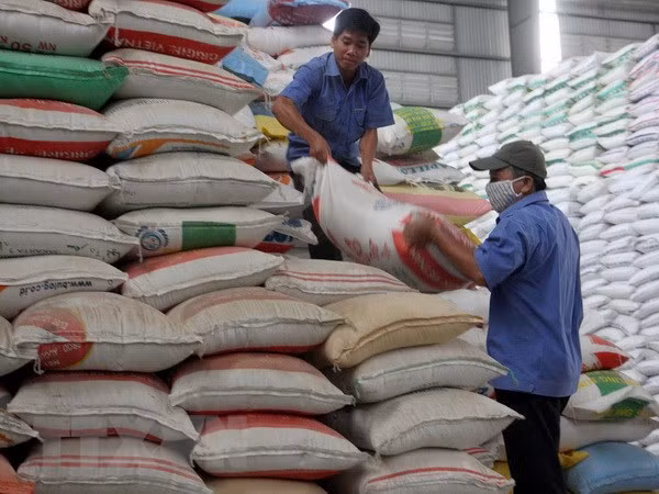 Sóc Trăng: Cấp phát gạo hỗ trợ hộ nghèo dịp Tết Nguyên đán ảnh 1