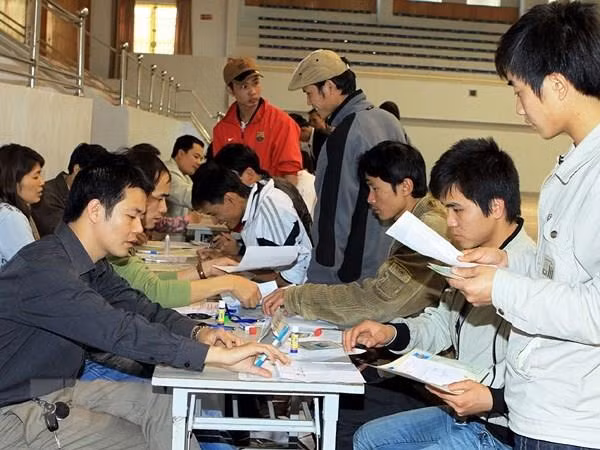 Xử phạt doanh nghiệp xuất khẩu lao động vi phạm quy định về tuyển dụng ảnh 1