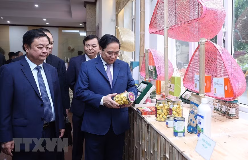Nông nghiệp Việt Nam thay đổi cách tiếp cận, tăng thêm nhiều giá trị ảnh 2