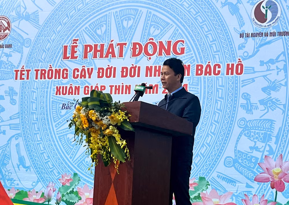 tet trong cay 1.jpg