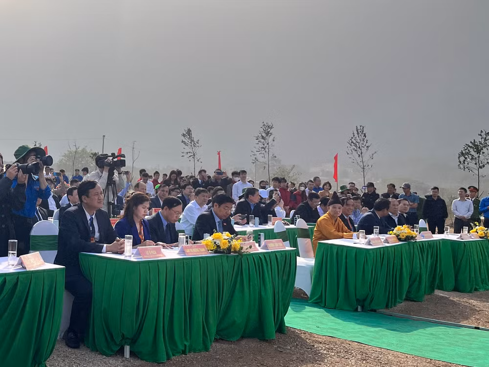 tet trong cay 2.jpg