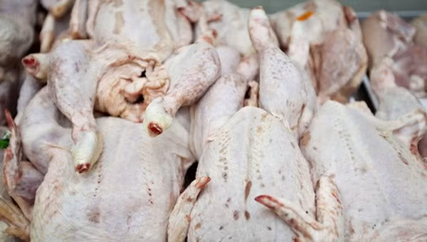 Chính phủ yêu cầu làm rõ thông tin bán phá giá đùi gà Mỹ nhập khẩu ảnh 1