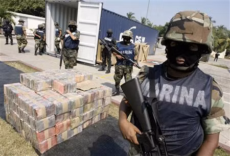 Hải quân Mexico thu giữ 2 tấn cocaine tại bang Oaxaca và Guerrero ảnh 1