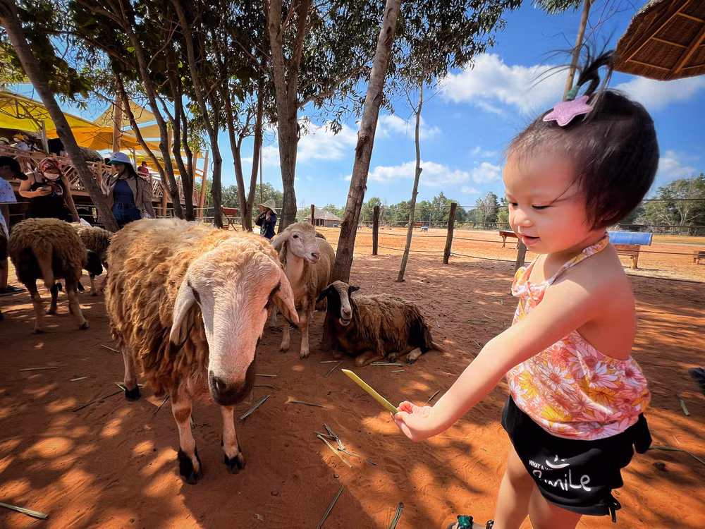 vnp_phan thiét (3).jpg