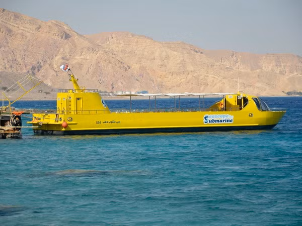 Một ủy ban Ai Cập thông qua chuyển giao hai đảo cho Saudi Arabia ảnh 1