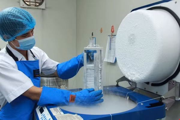 Các chuyên gia quốc tế chuyển giao nhiều công nghệ về liệu pháp tế bào ảnh 1
