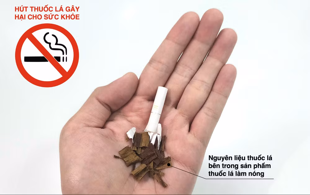 Chia sẻ gánh nặng với ngành y tế để kiểm soát hiệu quả thuốc lá mới ảnh 1