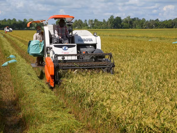 Học giả quốc tế chia sẻ kinh nghiệm phòng chống đói nghèo ảnh 1