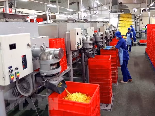 Truy tố nguyên Tổng Giám đốc Tổng Công ty Lương thực miền Nam ảnh 1