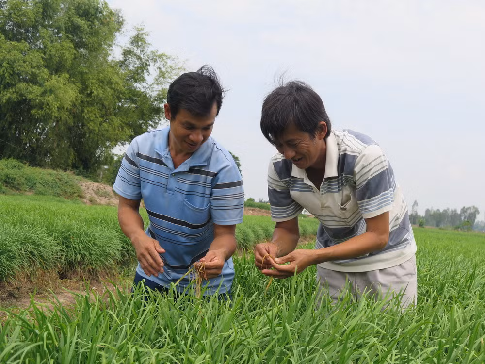 Việt Nam đăng cai Hội nghị Bộ trưởng hợp tác xã khu vực châu Á-TBD ảnh 1
