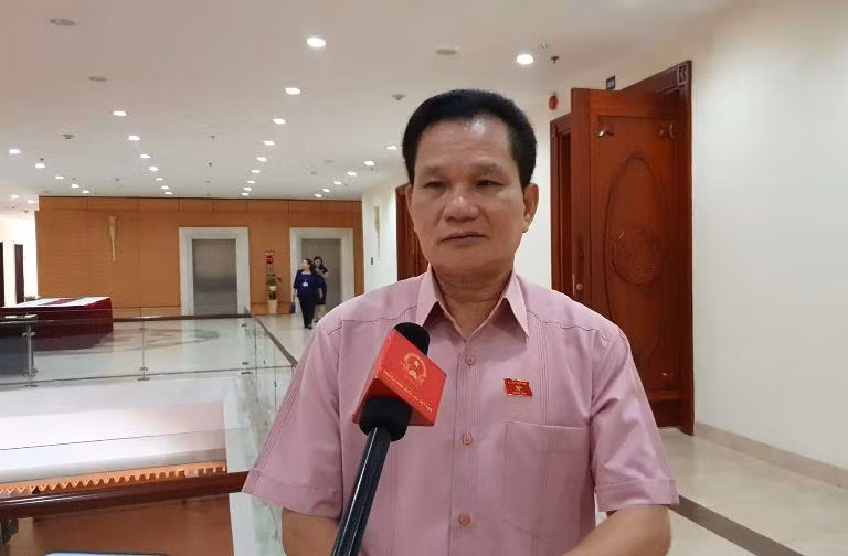 'Chất lượng dân số người già của Việt Nam đang rất có vấn đề' ảnh 2