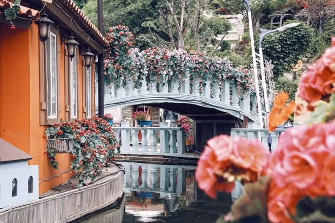 Bật mí cẩm nang giúp chọn chuyến du lịch Xuân như ý ảnh 2