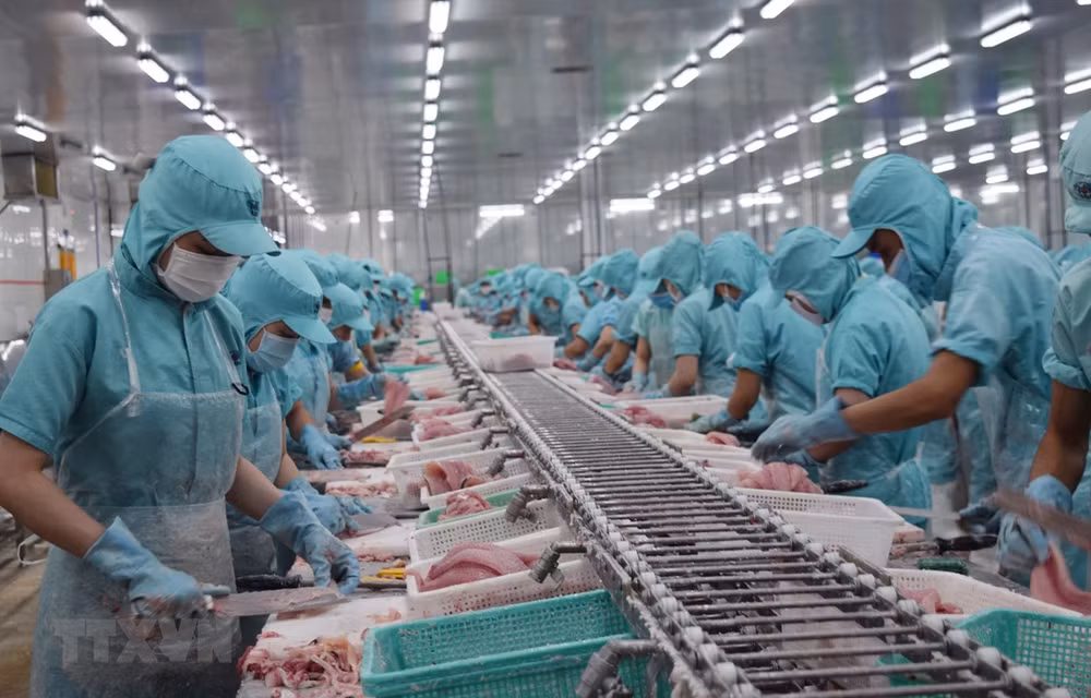 Kịch bản nào cho tăng trưởng kinh tế Việt Nam trong năm 2021? ảnh 2
