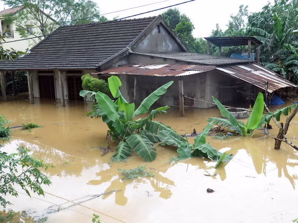 Nước lũ tràn về Quảng Trị, người dân bị mắc kẹt trên ngọn cây ảnh 1