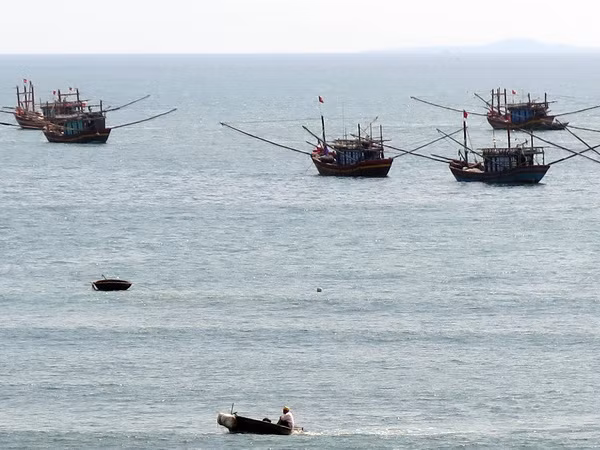 Thêm gói tín dụng ưu đãi 300 tỷ đồng cho ngư dân vươn khơi bám biển ảnh 1