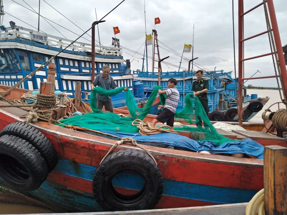 Bão số 4 không gây thiệt hại đáng kể khi đổ bộ vào tỉnh Thanh Hóa ảnh 1