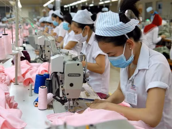 Công ty may mặc Mỹ quyết định chuyển hoạt động sang Việt Nam ảnh 1