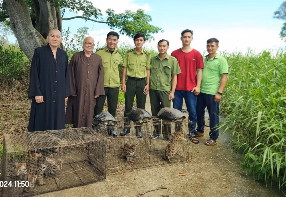 TTXVN_1106cathedongvathoangda.jpg