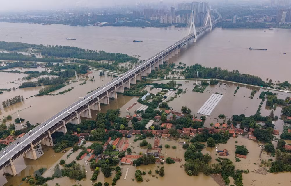 Phát triển bền vững: Việt Nam cần thiết lập lộ trình 'chuyển đổi xanh' ảnh 1