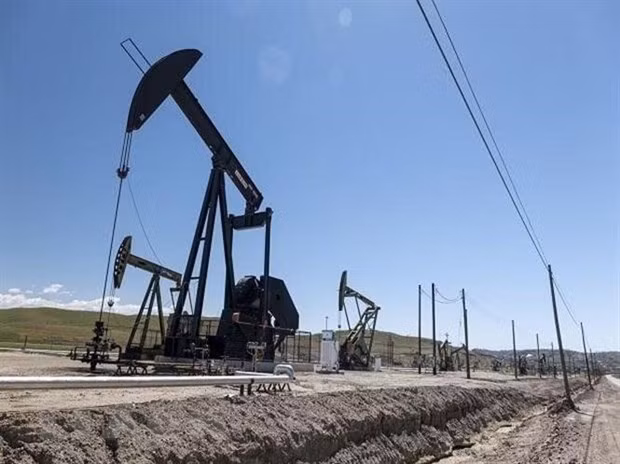 Bộ trưởng Năng lượng UAE: Giá dầu thô có thể tiếp tục tăng cao hơn ảnh 1