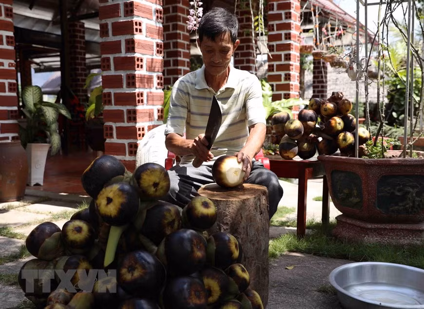An Giang tiến tới hình thành vùng sản xuất thốt nốt hữu cơ ảnh 2
