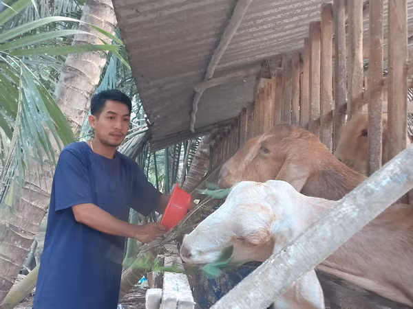 Triển khai hiệu quả nguồn vốn tín dụng chính sách xã hội ở Bến Tre ảnh 2