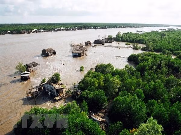 Sai phạm tại VQG Mũi Cà Mau: Chuyển hồ sơ sang cảnh sát điều tra ảnh 1