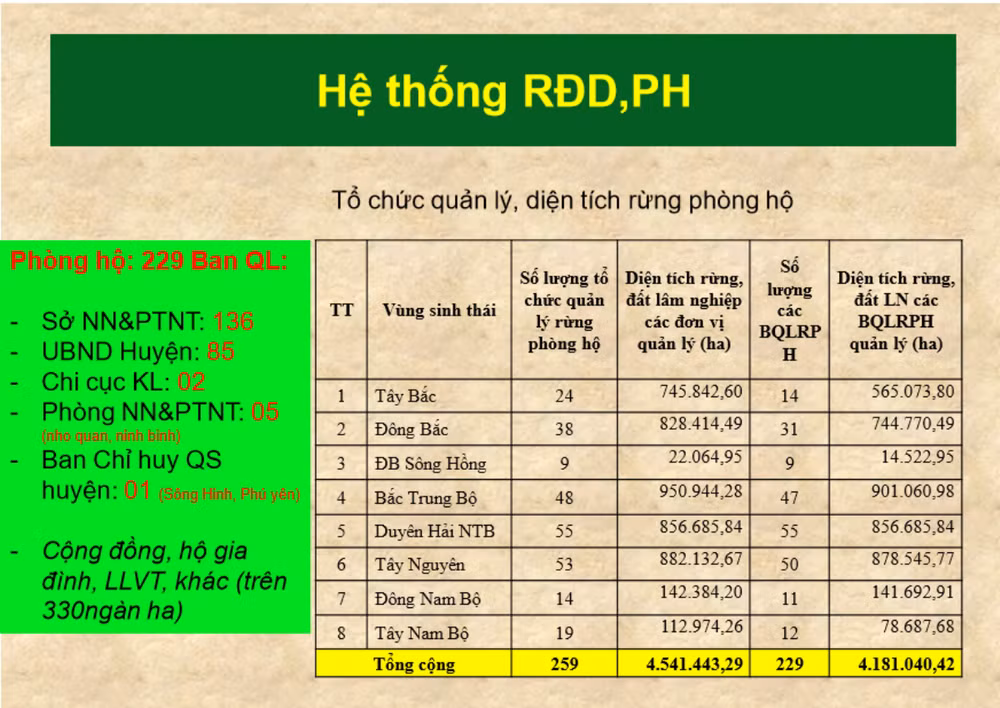 Việt Nam giảm 1,7 triệu hécta rừng phòng hộ trong vòng 10 năm qua ảnh 4
