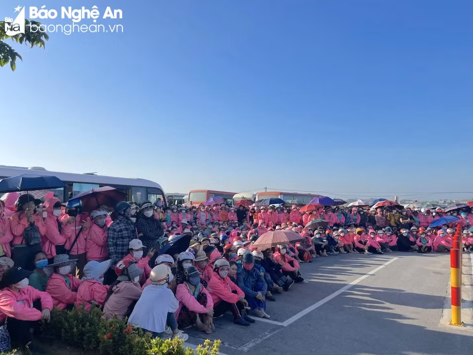 Nghệ An: 1.000 công nhân ngừng việc tập thể đã đi làm trở lại ảnh 1