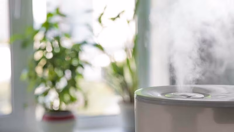Mùi thơm nhân tạo ảnh hưởng đến chất lượng không khí trong nhà ảnh 1