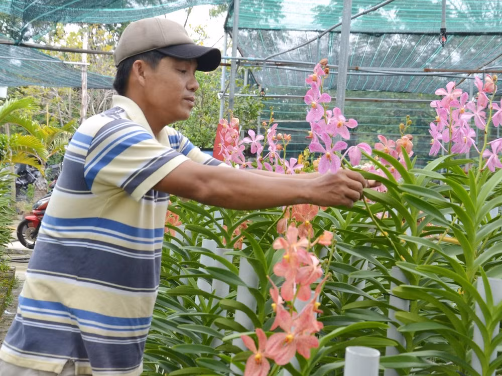 IFC thúc đẩy cung cấp tài chính cho khu vực nông nghiệp Việt Nam ảnh 1