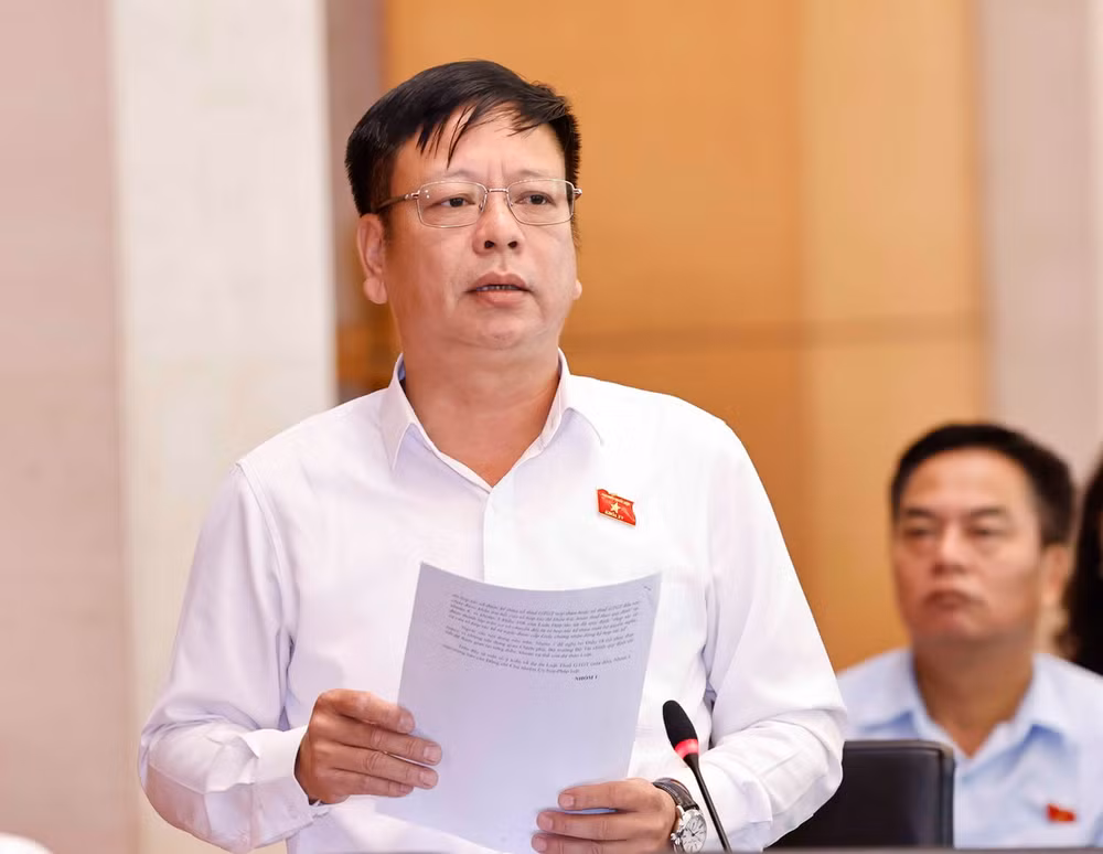 ttxvn_2908_dai bieu qh.jpg