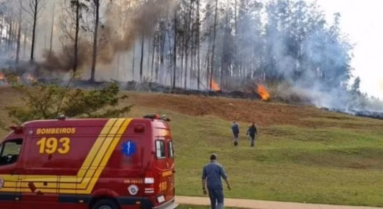 Brazil: Máy bay lao xuống rừng và phát nổ, 7 người thiệt mạng ảnh 1