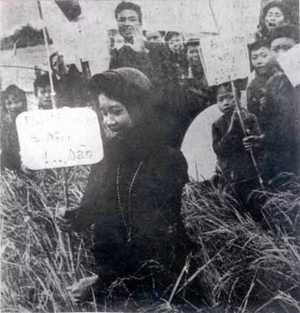 Giới thiệu 150 hiện vật về giai đoạn “Cải cách ruộng đất 1946-1957” ảnh 2