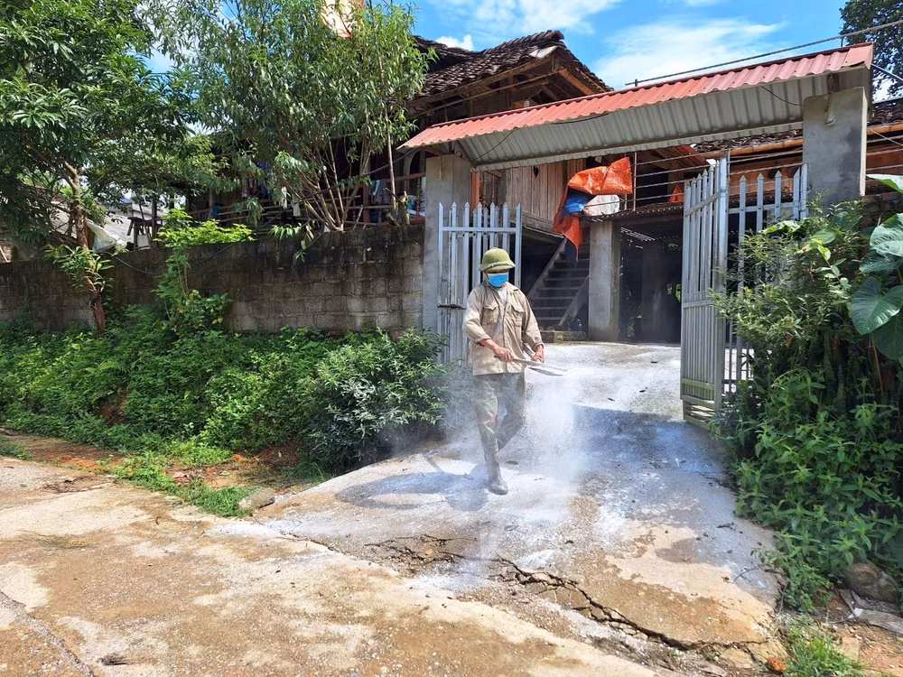 Lợn chết không báo cáo, Bắc Kạn bùng phát dịch tả lợn châu Phi ảnh 1