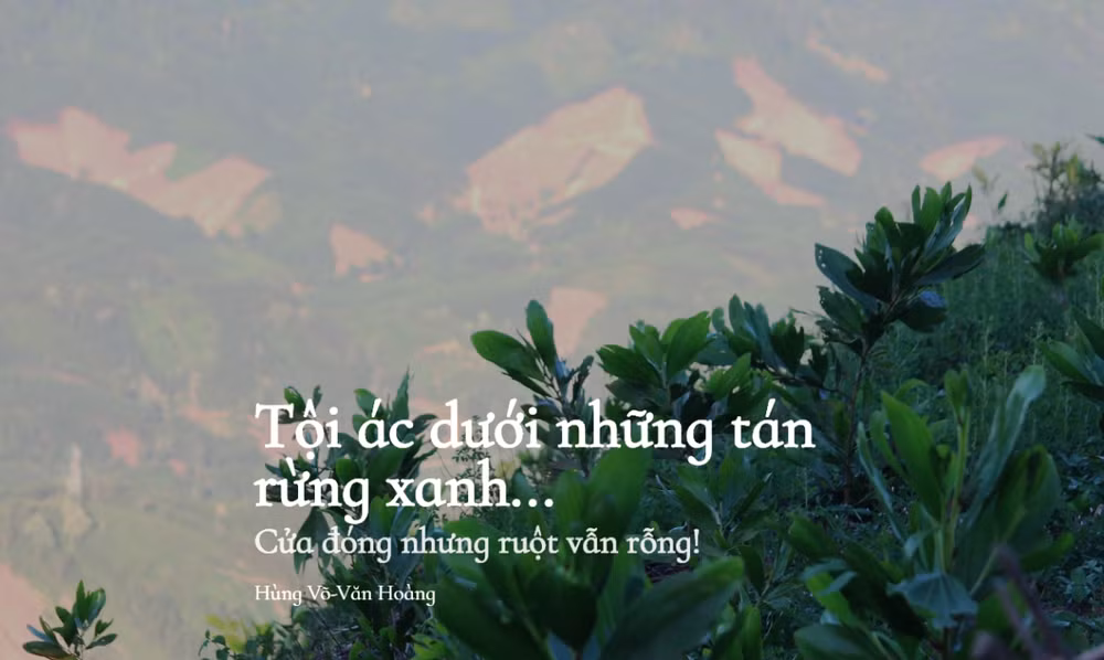 Lời kêu cứu tuyệt vọng của đại ngàn rơi vào im lặng và lãng quên ảnh 2