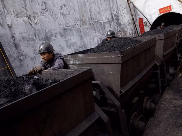 Trung Quốc giúp ngành than thoát cảnh giá và lợi nhuận giảm ảnh 1