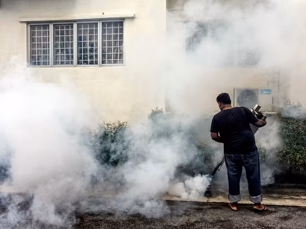 Malaysia xem xét khả năng cho phá thai đối với bà mẹ nhiễm Zika ảnh 1