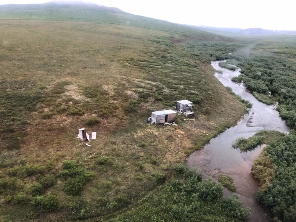 Mỹ: Giải cứu thành công người bị gấu xám tấn công tại Alaska ảnh 1