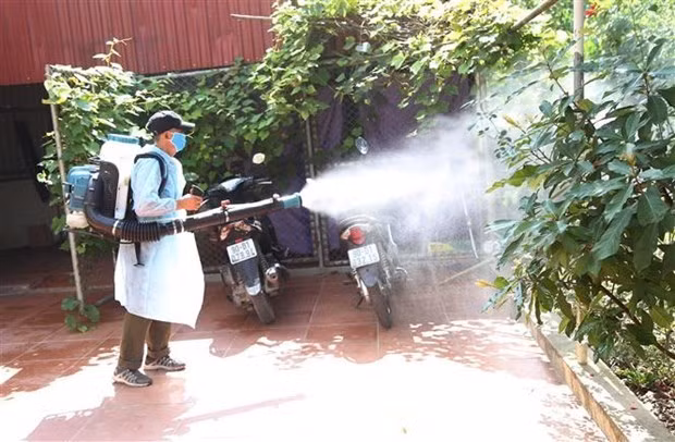 Thành phố Hồ Chí Minh: 9 trường hợp tử vong do sốt xuất huyết ảnh 1