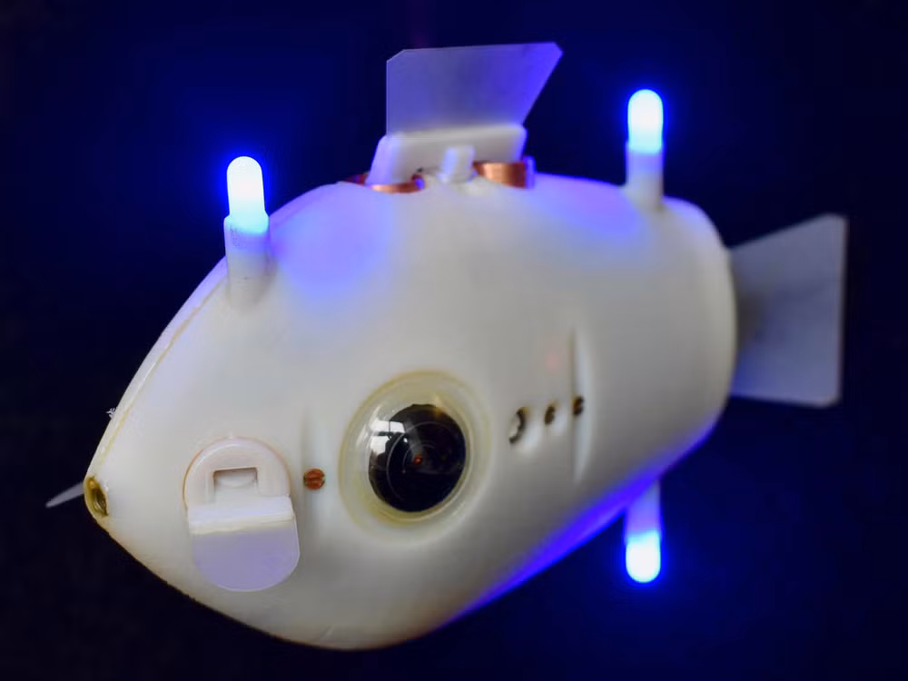 Cá robot - Phương tiện mới cho hoạt động cứu hộ trên biển ảnh 1