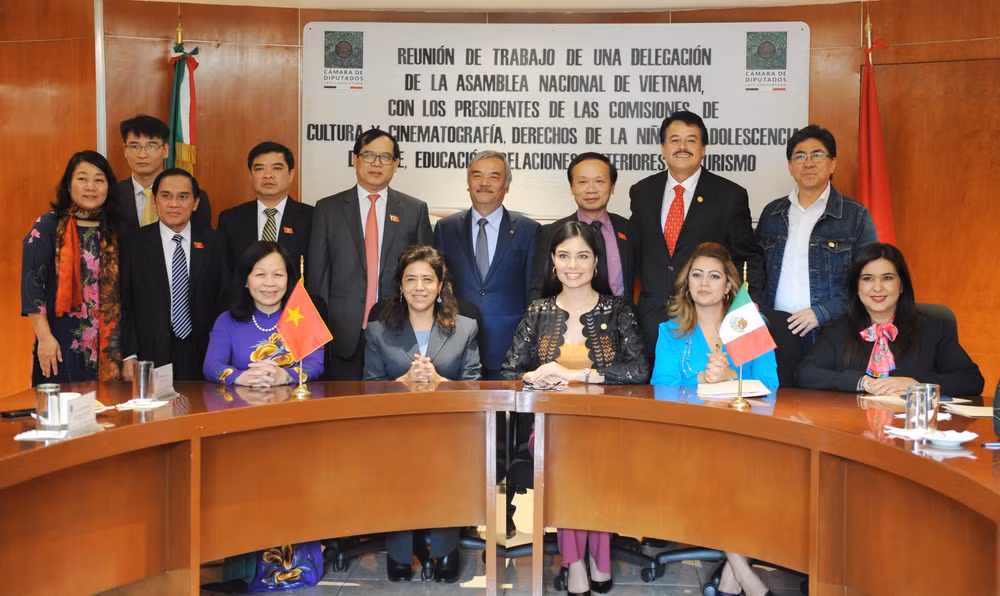 Quốc hội Việt Nam-Mexico trao đổi kinh nghiệm về văn hóa, giáo dục ảnh 2