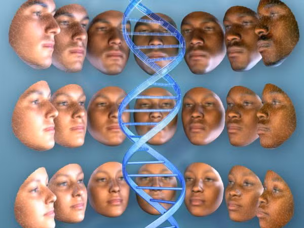 DNA có thể giúp phác thảo gương mặt của nghi phạm ảnh 1