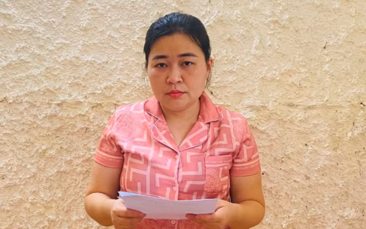 Hà Tĩnh: Khởi tố và bắt tạm giam đối tượng lừa đảo chiếm đoạt tài sản ảnh 1
