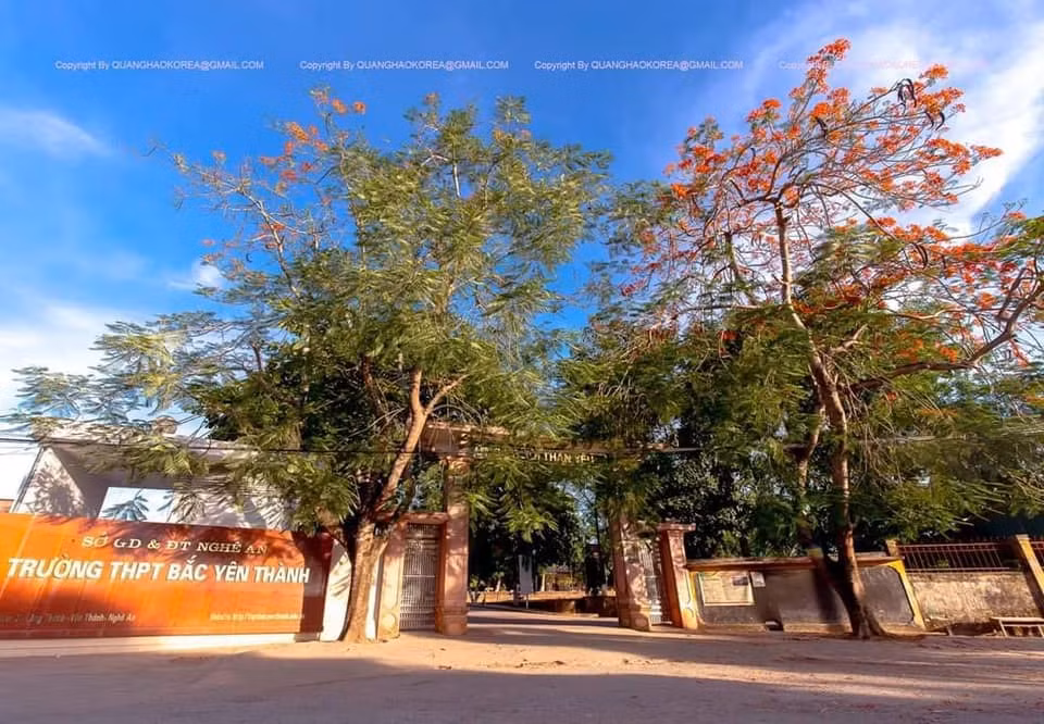 Nghệ An: Chỉ đạo xử lý vụ thầy giáo tát học sinh thủng màng nhĩ ảnh 1