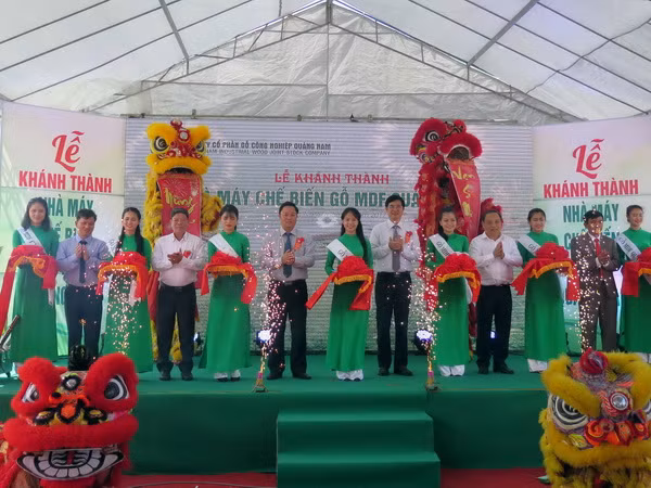 Đưa vào hoạt động Nhà máy chế biến gỗ lớn nhất miền Trung-Tây Nguyên ảnh 1
