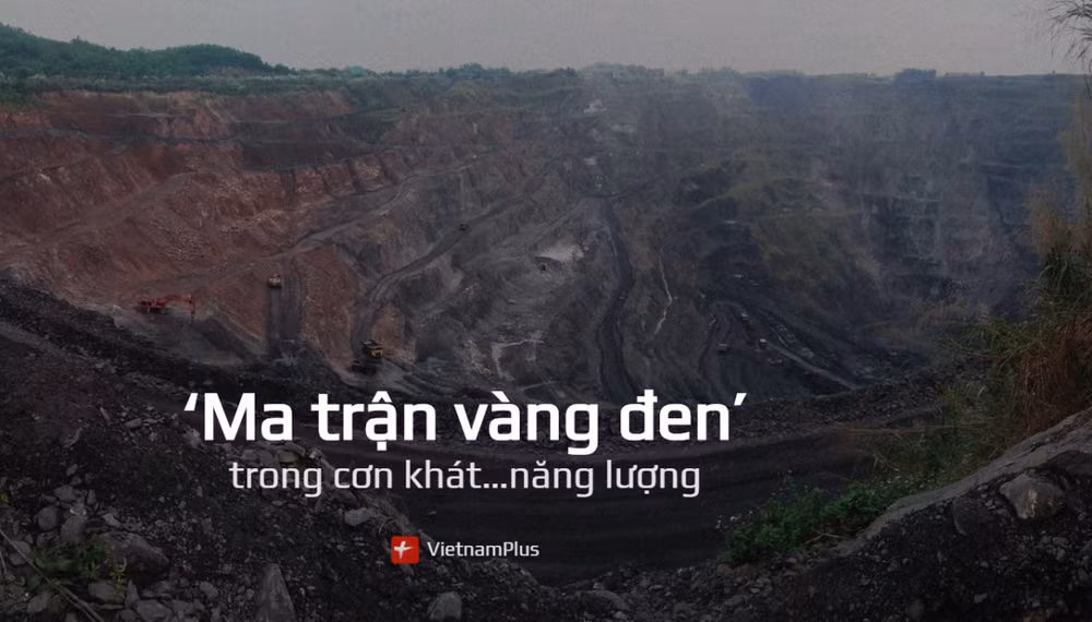 Quảng Ninh yêu cầu kiểm tra, xử lý các vi phạm do VietnamPlus phản ánh ảnh 1